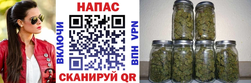 продажа наркотиков  Новая Ляля  гидра   Марихуана план 